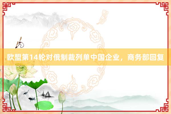 欧盟第14轮对俄制裁列单中国企业，商务部回复