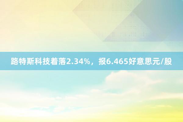 路特斯科技着落2.34%，报6.465好意思元/股