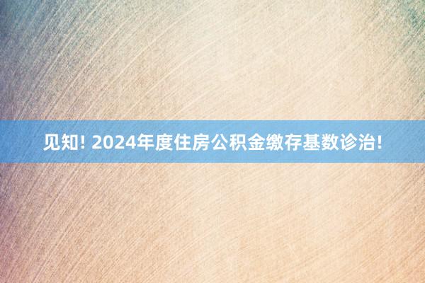 见知! 2024年度住房公积金缴存基数诊治!