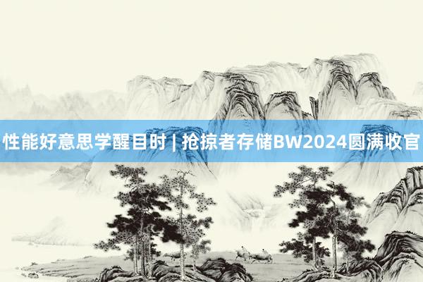 性能好意思学醒目时 | 抢掠者存储BW2024圆满收官