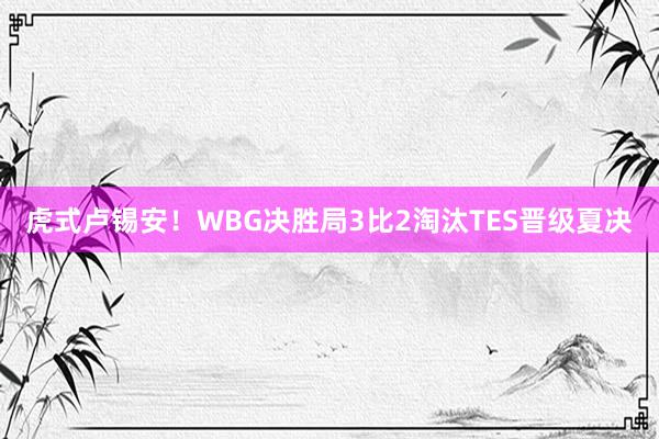 虎式卢锡安！WBG决胜局3比2淘汰TES晋级夏决