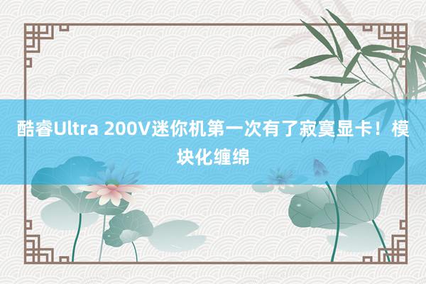 酷睿Ultra 200V迷你机第一次有了寂寞显卡！模块化缠绵