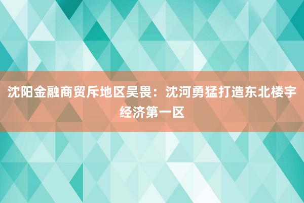 沈阳金融商贸斥地区吴畏：沈河勇猛打造东北楼宇经济第一区