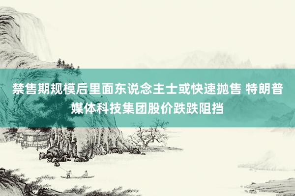 禁售期规模后里面东说念主士或快速抛售 特朗普媒体科技集团股价跌跌阻挡