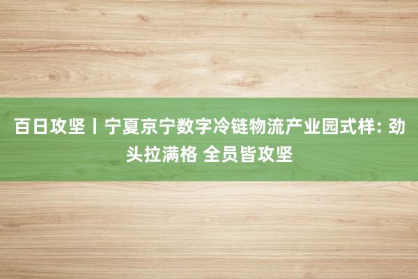 百日攻坚丨宁夏京宁数字冷链物流产业园式样: 劲头拉满格 全员皆攻坚