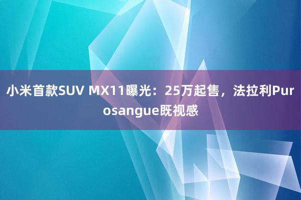 小米首款SUV MX11曝光：25万起售，法拉利Purosangue既视感